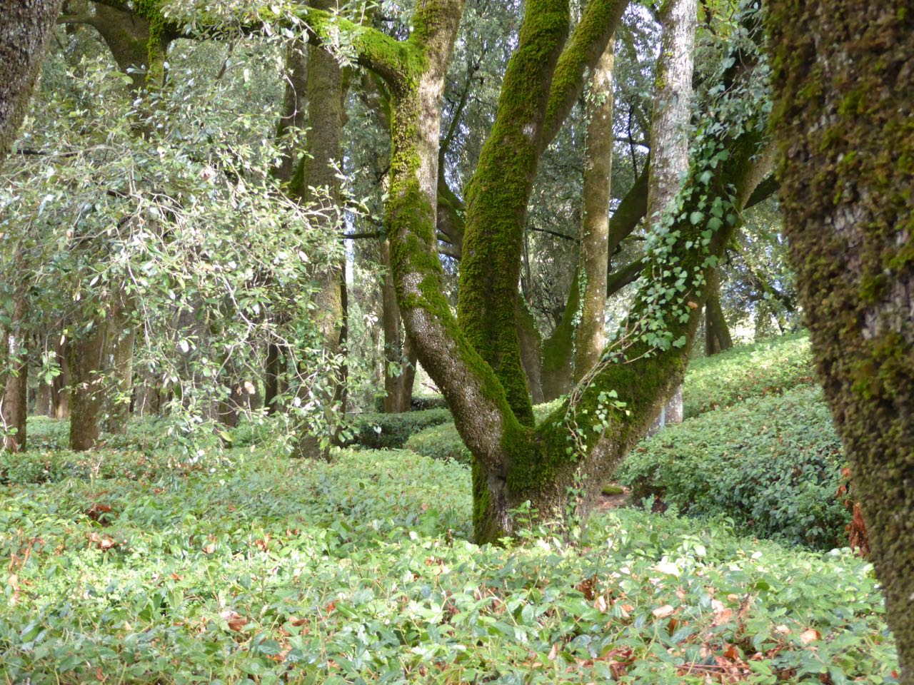 P1000819