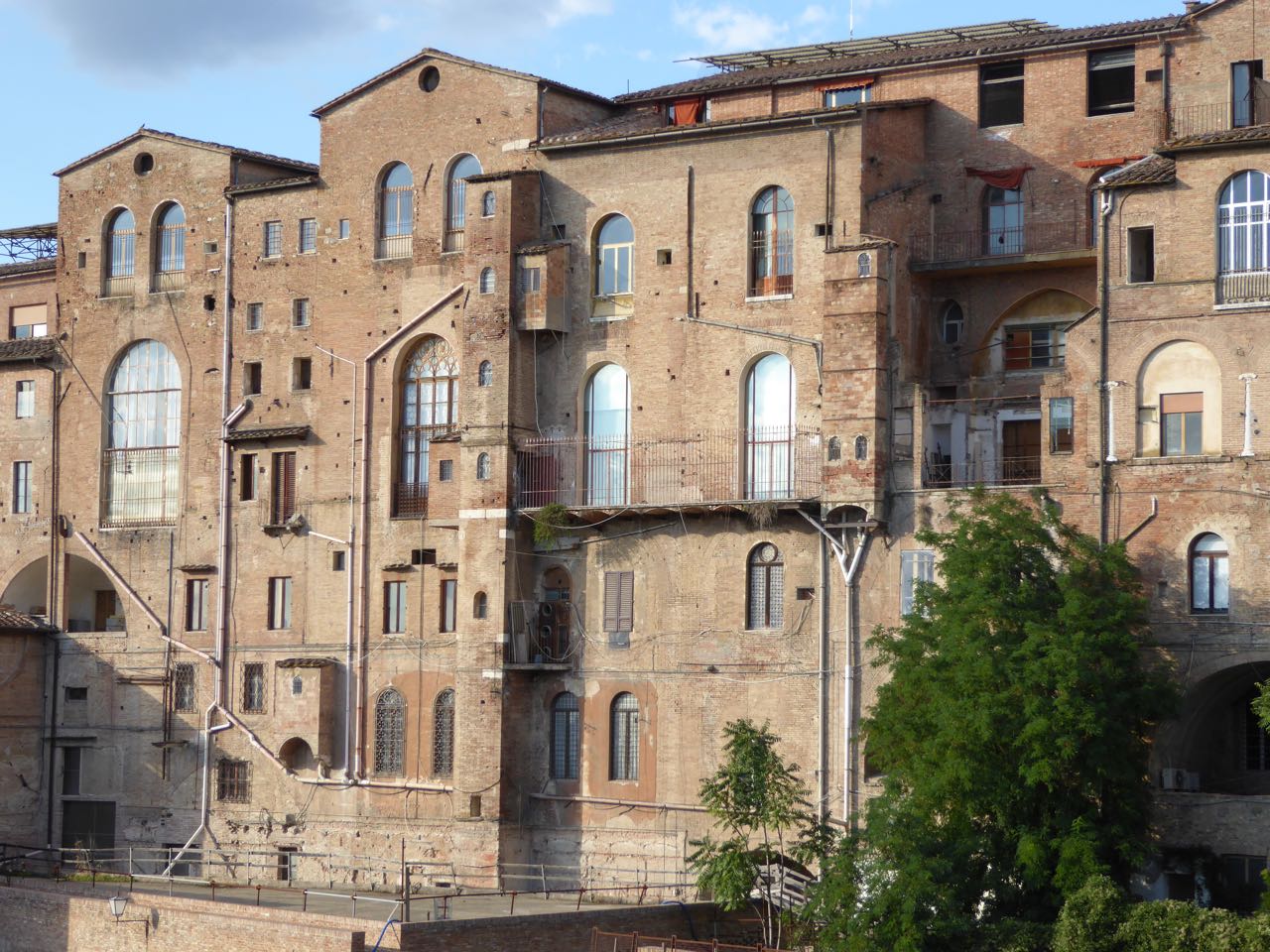 P1000955