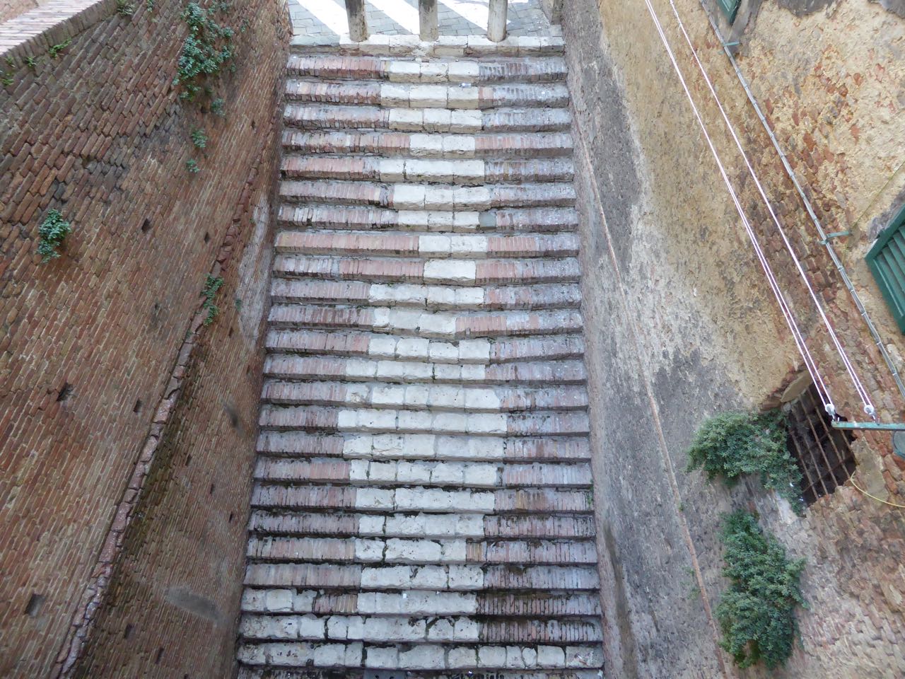 P1010008