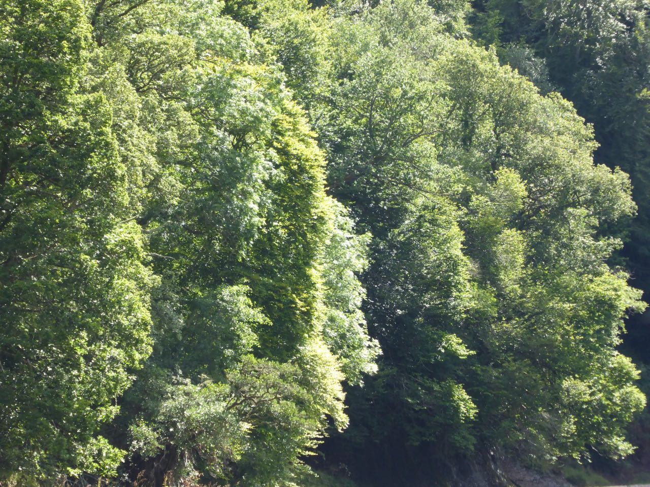 P1010946