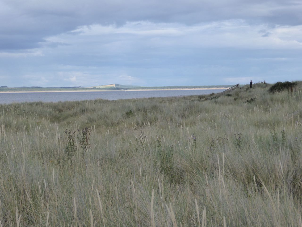 P1020076